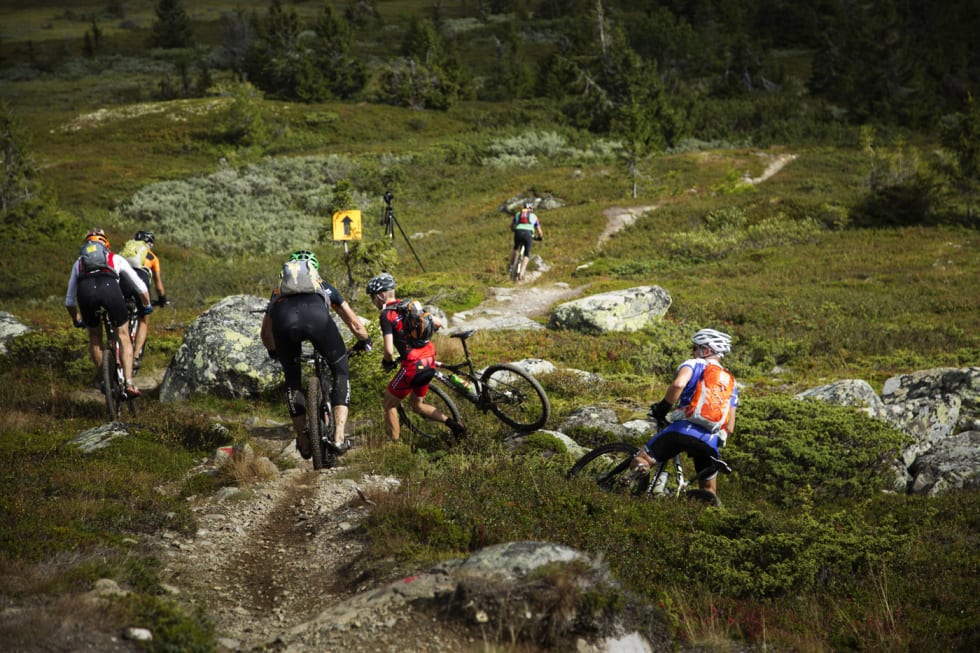 FEIL VEI?! .. og så må man holde øye med skiltinga. Mange kjøre feil i denne svingen, selv om det tilsynelatende skulle være umulig. (foto: Kristoffer H. Kippernes) _IPP6479