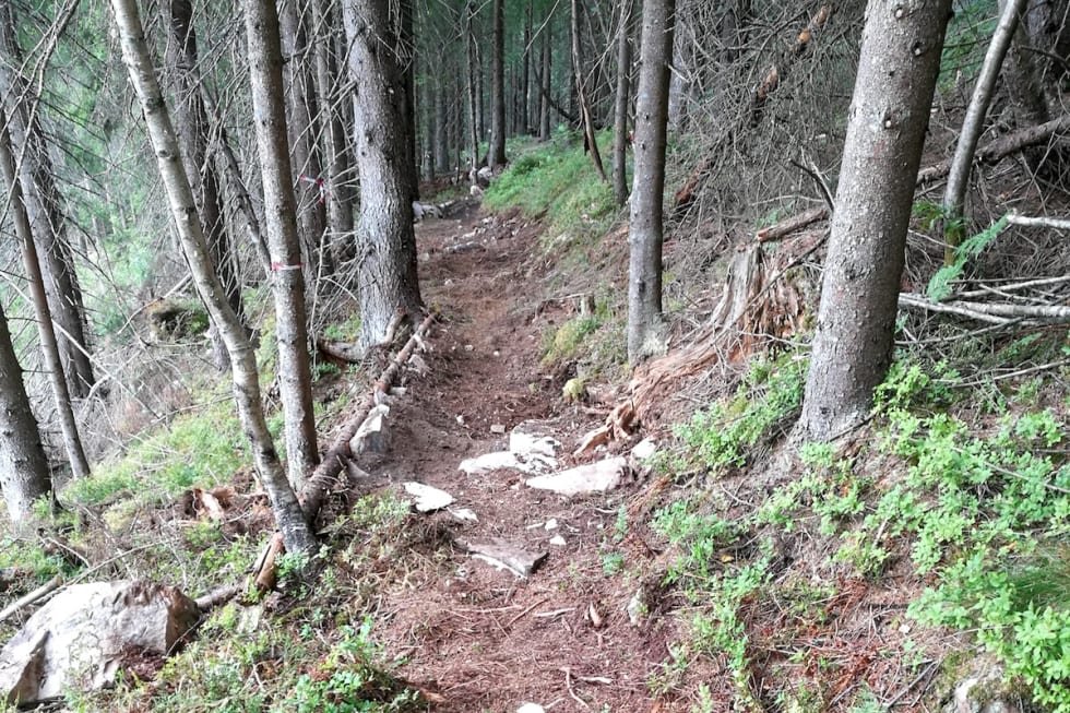 To etapper i årets ritt består av helt nye stier. Foto: Roy Ripe Oslo Enduro Trail 2- Roy Ripe 1200x800