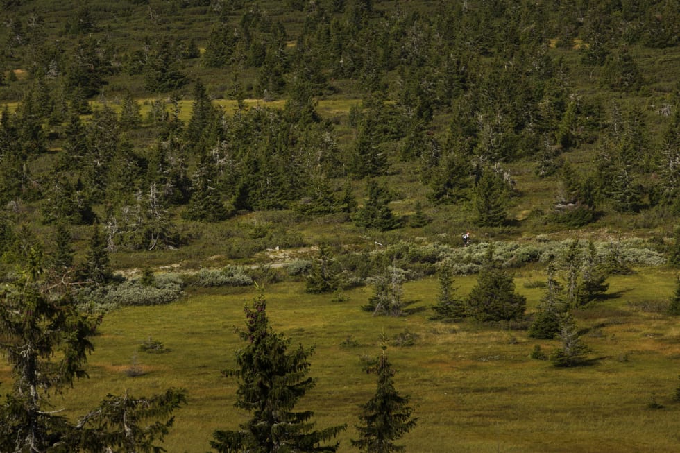 HVOR ER´N? Rytterne ble fort små i det storslagne landskapet. (foto: Kristoffer H. Kippernes) _IPP6056
