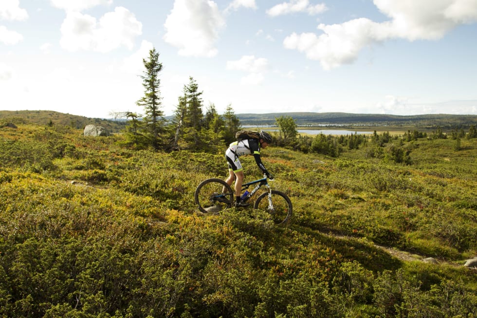 IKKE PÅ TOPP: Johannes Reiten har hatt solide plasseringer i Ultrabirken før, men i år ble det med en 21. plass. (foto: Kristoffer H. Kippernes) _KHK2926
