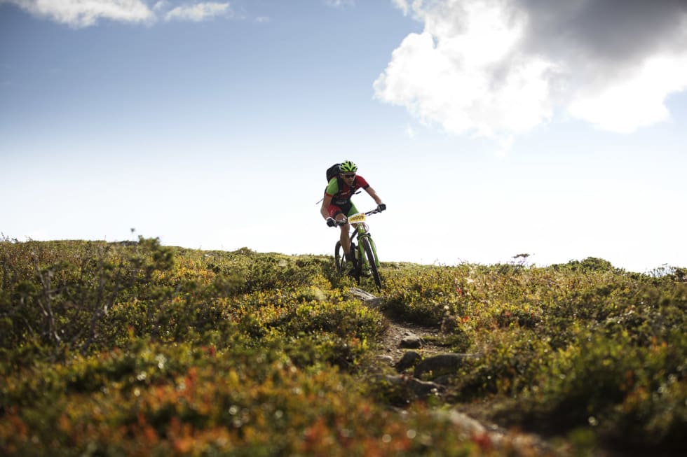 I LYNGEN: Karl Christian Sandstø sykler ritt i et landskap en hver stisyklist burde prøve. (foto: Kristoffer H. Kippernes) _IPP5957