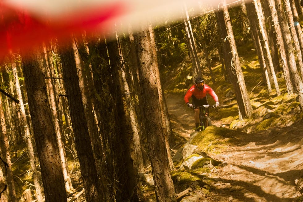 Ned gjennom skogen. Foto: Snorre Veggan out of the woods - Snorre Veggan