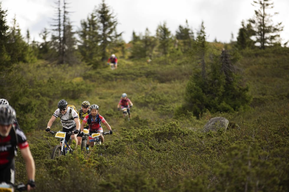 PÅ REKKE OG RAD: Heldigvis var det lite antydninger til kø, selv om det var mange syklister i traséen. (foto: Kristoffer H. Kippernes) _IPP6155