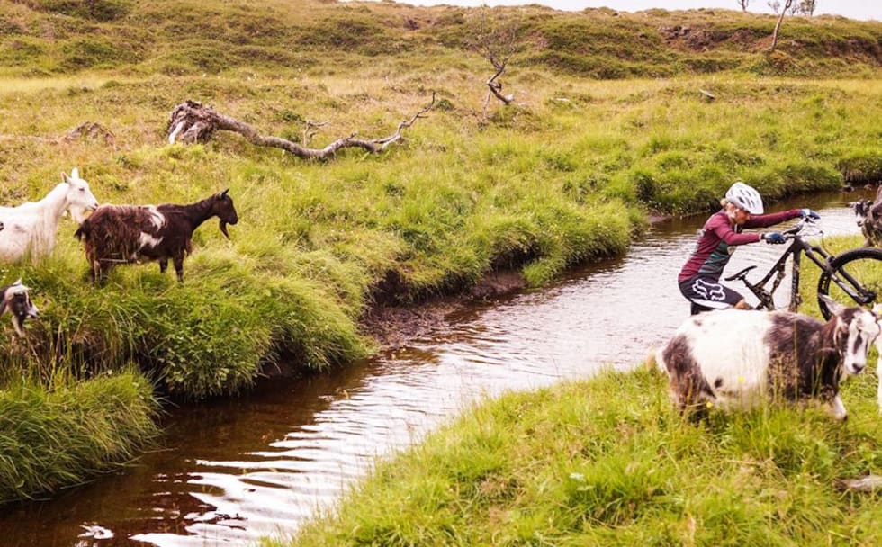 Lofoten byr på variert terreng og utfordringer. Foto: Hattvika Lodge Hattvika Lodge MTB - Foto Hattvika Lodge 1200x745