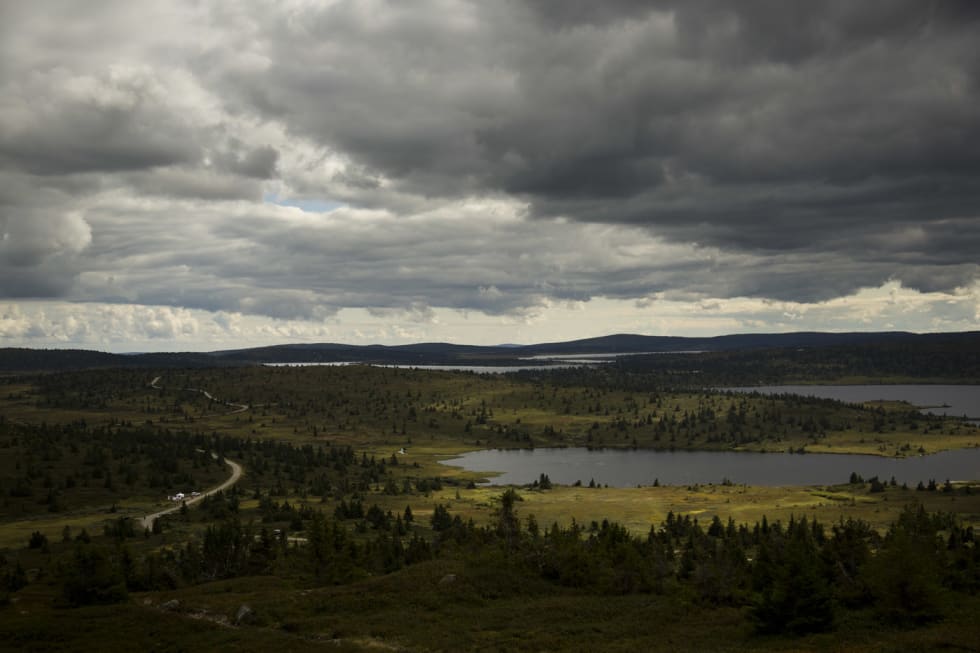 INN MOT MÅL: Etter utforkjøringen fra Reinsfjell lå dette terrenget mellom rytterne og målstreken. Grusvei, snaufjell og smale, fine stier. (foto: Kristoffer H. Kippernes) _IPP6460