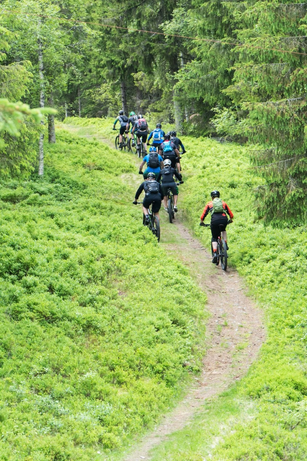 Tilbake etter mer neste år. Foto: Eirik Volent Trondheim stisykkelfestival 2018 flow - Eirik Volent 1000x