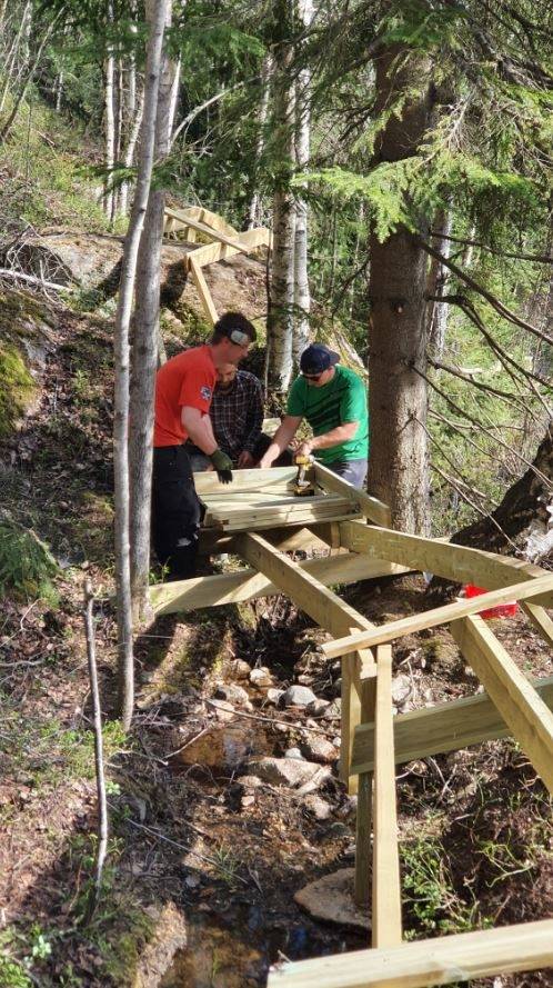 NYE LØYPER: Drammen Bike Park kommer med nyheter foran 2020-sesongen. Bilde: Stian Alexander Løvdal heisabasert sykling i Drammen
