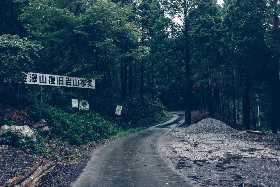 Rindo: Små skogsveier som fører deg lenger og lenger inn i den mørke skogen og det ukjente Japan med skogsåndene som reiseleder.
