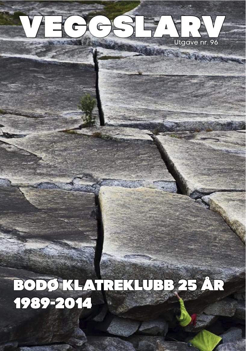 veggslarv 96