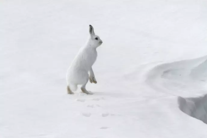 Skjermbilde 2017-03-01 kl. 13.15.12