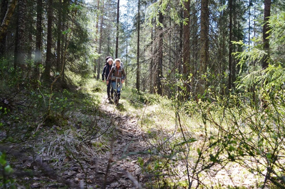 GÅMODUS: Behandler du fjellskoene dine godt mellom turene, har de potensielt lang levetid. Klassiske fjellsko er laget i kraftige materialer som er enkle å vedlikeholde. Ved å skifte såle og lisser, eller tas med til skomaker som sannsynligvis vil kjenne igjen konstruksjonen i støvlene.