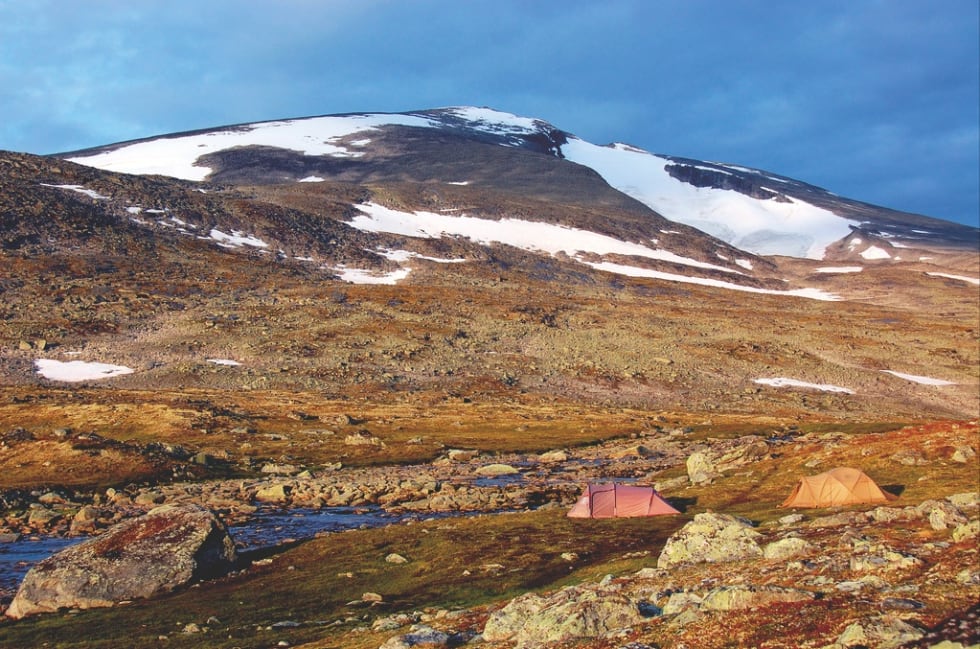 Snøhetta