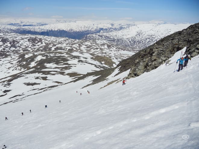 Steindalsnosi_TimmeEllingjord-Hvitblikk_mai-25-2018-3