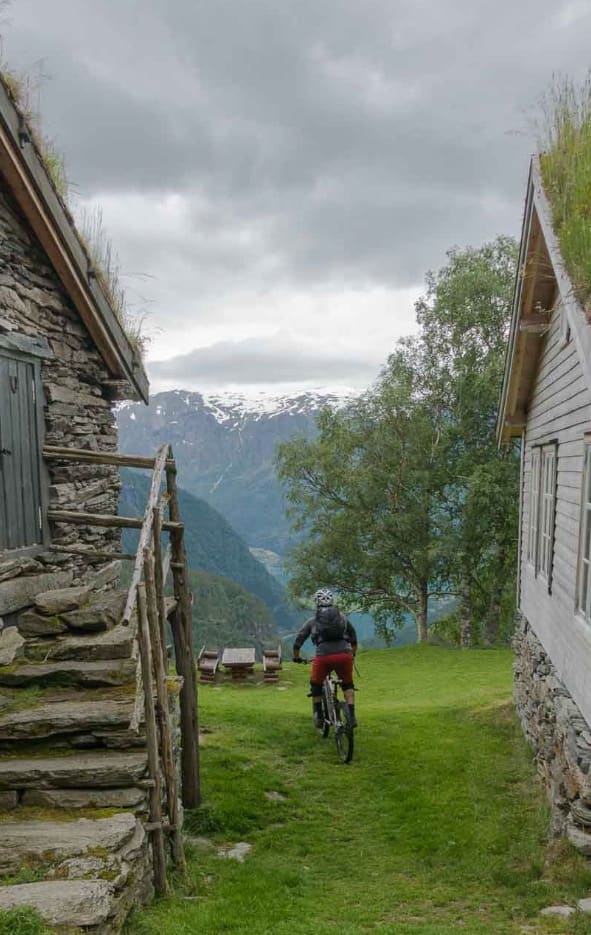 FARVEL VAFFEL: Erling lar KRIK`erne ha vafflene i fred og setter kursen mot cruiseskipene i Skjolden.