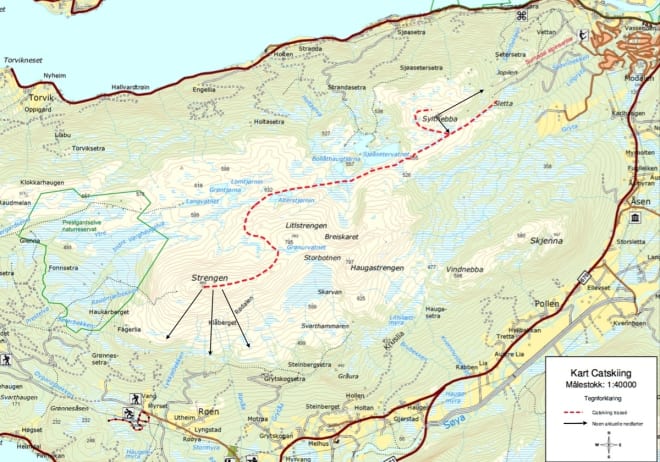 Her-er-catski-soeknadene_ordinary_1200