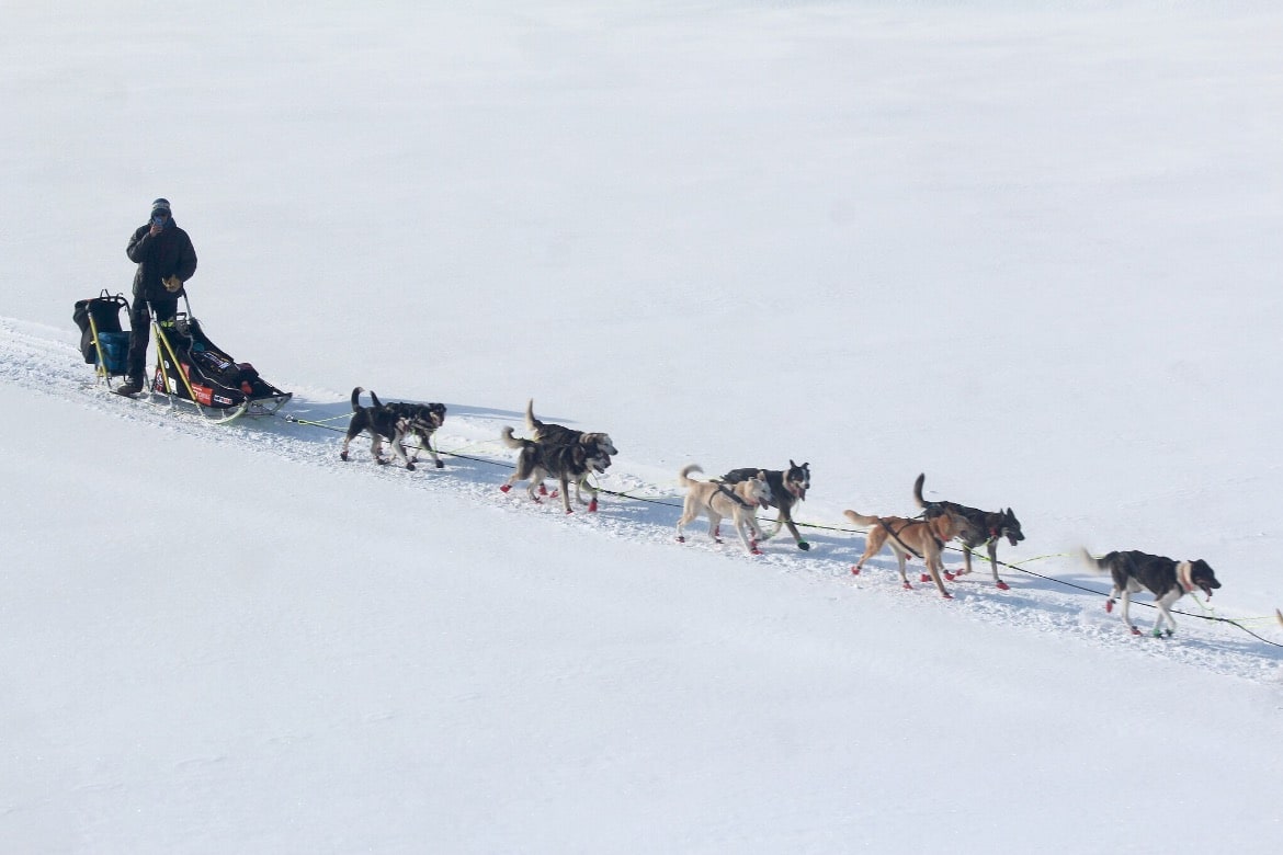 DAG 8: Et sted på Yukon River. Foto: Mille Porsild