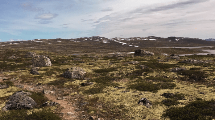 Skjermbilde 2016-08-08 kl. 09.55.28