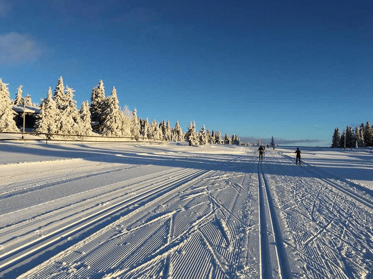 Skjermbilde 2017-01-05 kl. 10.32.04