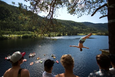 hopp