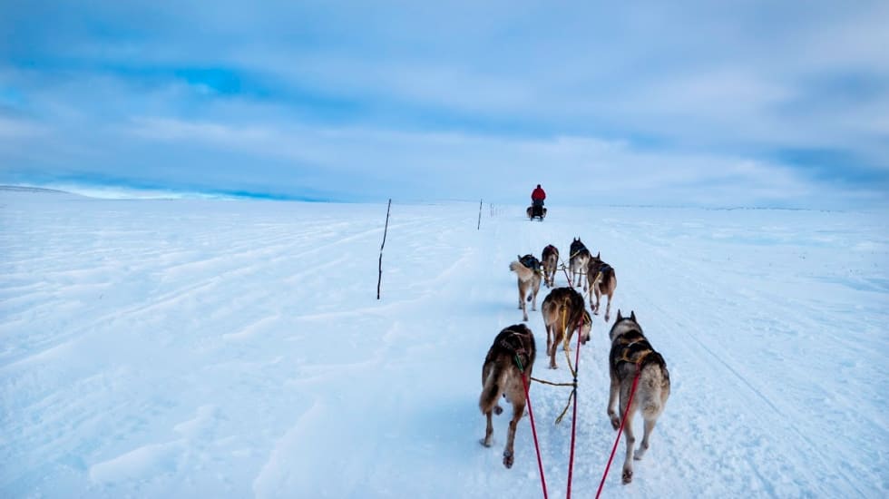 Skjermbilde 2015-03-18 kl. 10.07.28
