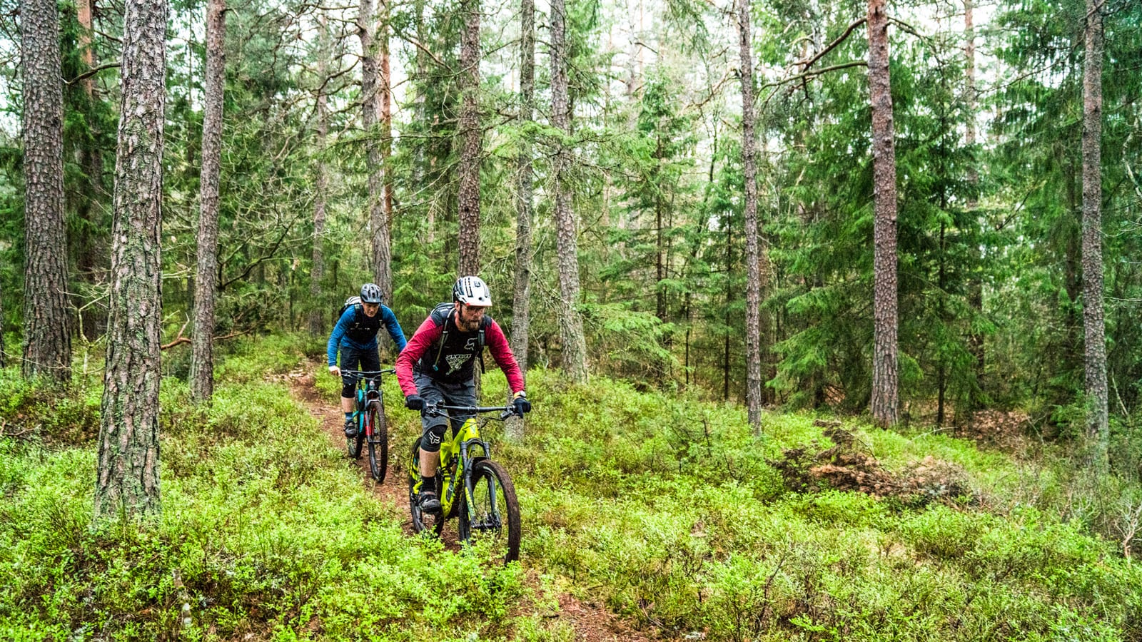 NØTTERØY: Truls A. Ekelund fra flytsti.no tar med Henrik Kippernes på et lite eventyr på Nøtterøy. Bilde: Magnus Roaldset Furset