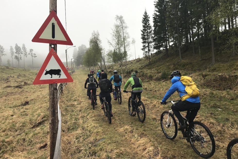May 22-17 NOTS Lillehammer 4- Asgeir Linberg 1400x933
