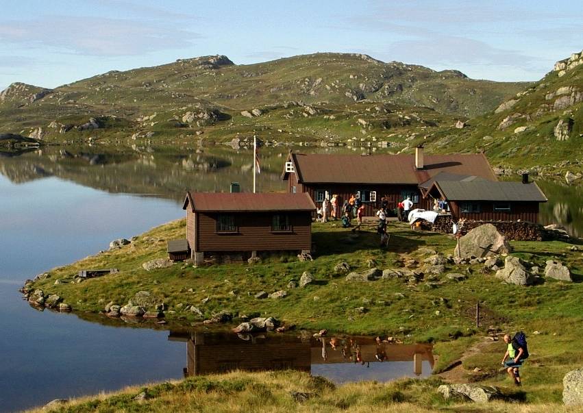 øyuvsbu i sommerdrakt