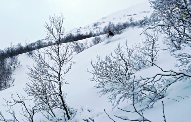 LA DET BLI POW: Strandafjellet leverte i helgen, og godsakene fortsetter å lave ned. Foto: Olav Tarjei Valebjørg