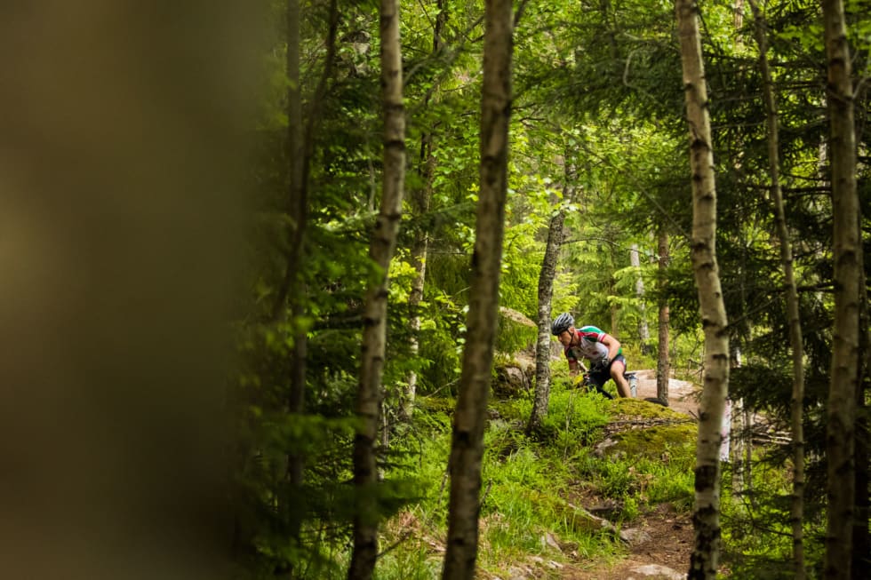 SKOG: Ingen tvil om at det er skog i Østmarka. Heller ikke at TSR er et stiritt. (foto: Snorre Veggan) terrengsykkelrittet-8675a