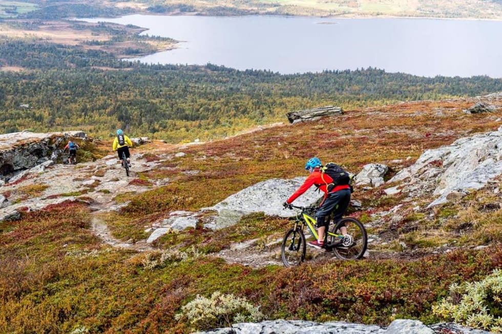 Årets stisykkelcamp byr på både eviggrønne klassikere og helt nye turer. Foto: Arrangøren Oppdal stisykkel camp - foto Arrangøren 1400x933