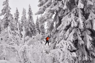 langrenn i trysil