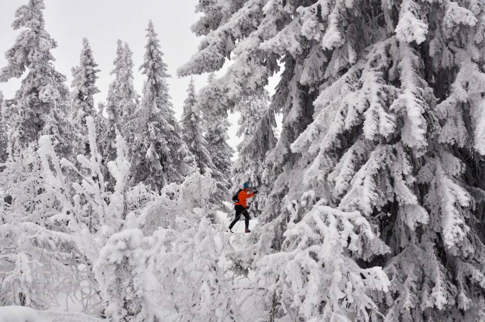 langrenn i trysil