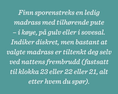 hyttemegtu13