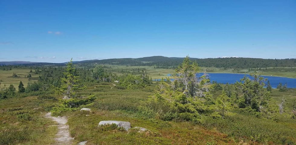 Fra UltraBirken-løypa 2018. Foto: Bjørn Ballangrud Fjellet UB 2018 - Bjørn Ballangrud 1400x688