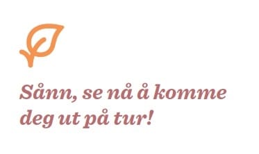 hyttemegtu_slutt
