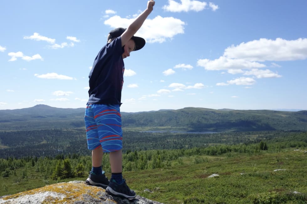 I Langsua finner du både skog, flotte fiskevann, og topper der du har utsikt over landskapet.