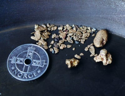 GULLKLUMP: Større gullklumper, eller nuggets som det kalles, har en mye større verdi ubehandlet enn behandlet for samlere. Med størrelse og vekt fra ett gram og oppover, kan verdien bli opp mot 10 ganger av gram verdien, hvis den ikke smeltes, men selges hel. Foto: Morten Leo Mathisen