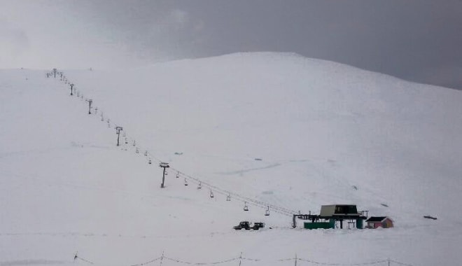 stryn