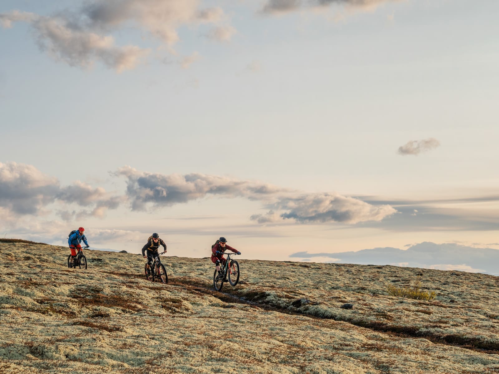 HØYFJELLSCRUISE: Stiene i Alvdal er i hovedsak naturlige i form av barnålsstier, steinete høyfjellsti og cruising i landskap dekt med reinslav. Bilde: Magnus Roaldset Furset