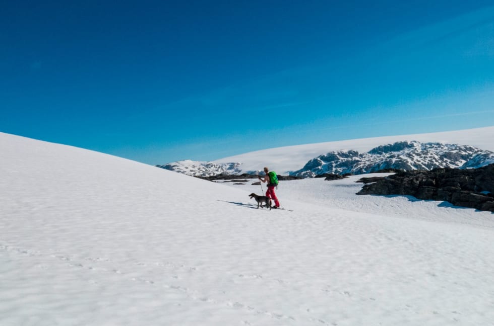 Skjermbilde 2015-03-17 kl. 10.19.55