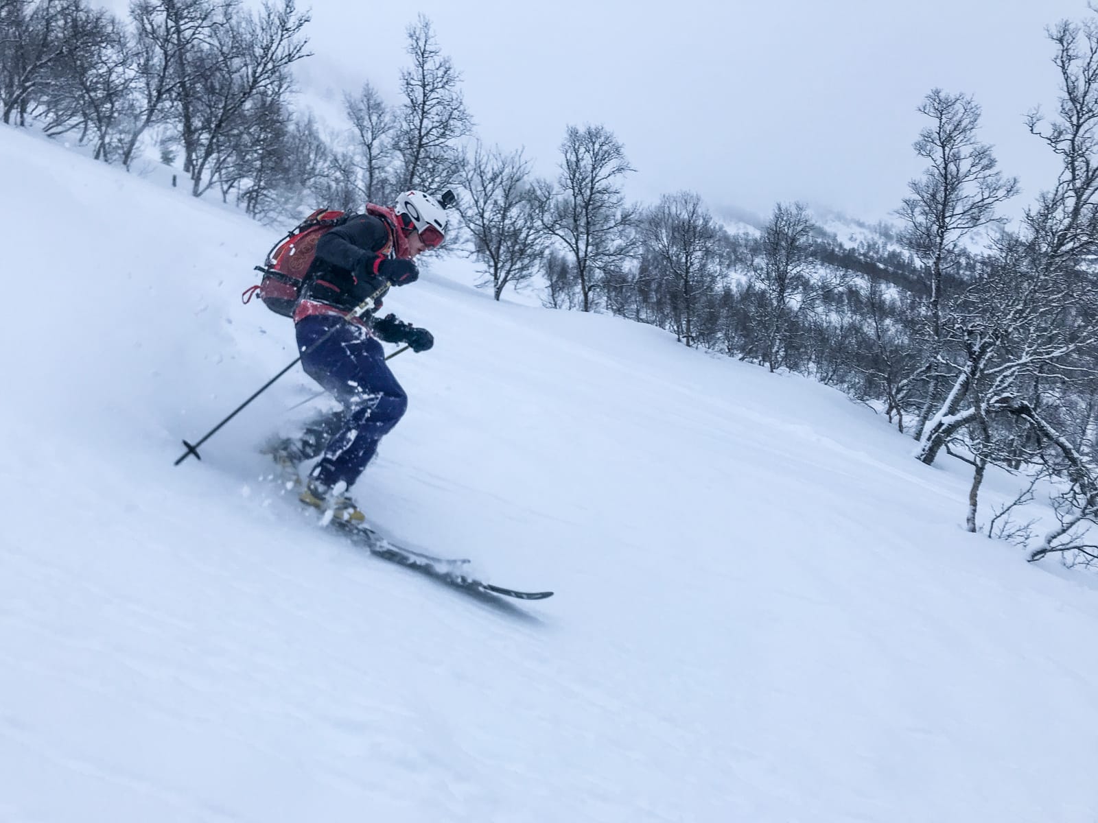 FRI SJEL: Skipatruljens guide i Sunnfjord og Dvergsdalsdalen Håvard Sandal Høyvik (19) snuste seg frem til snø det virkelig var verdt å skrive hjem om. Bilde: Christian Nerdrum