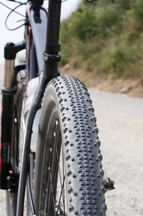 Schwalbe_DSC_3107