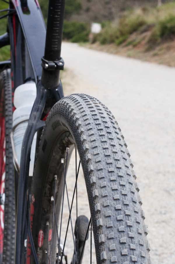 Specialized_DSC_3113