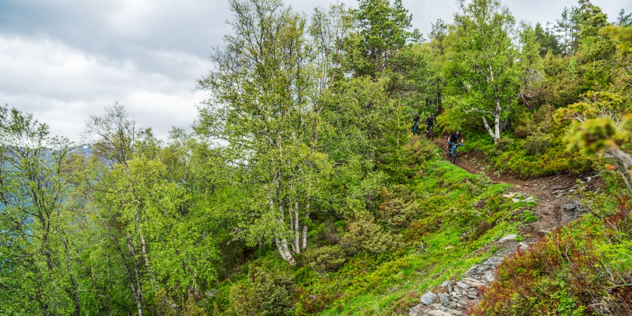 TILRETTELAGT: Det er lagt ned et enormt arbeid i stinettet i Gloppen de senere årene av blant annet Nikolai Sele og Pål Kristian Gimmestad fra Nordfjord Grovsyklarlaug. Bilde: Magnus Roaldset Furset