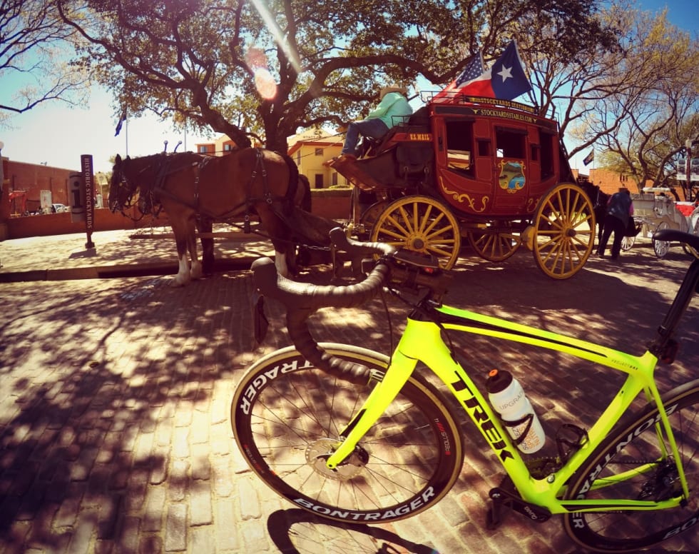 Jonas Orset Texas 3