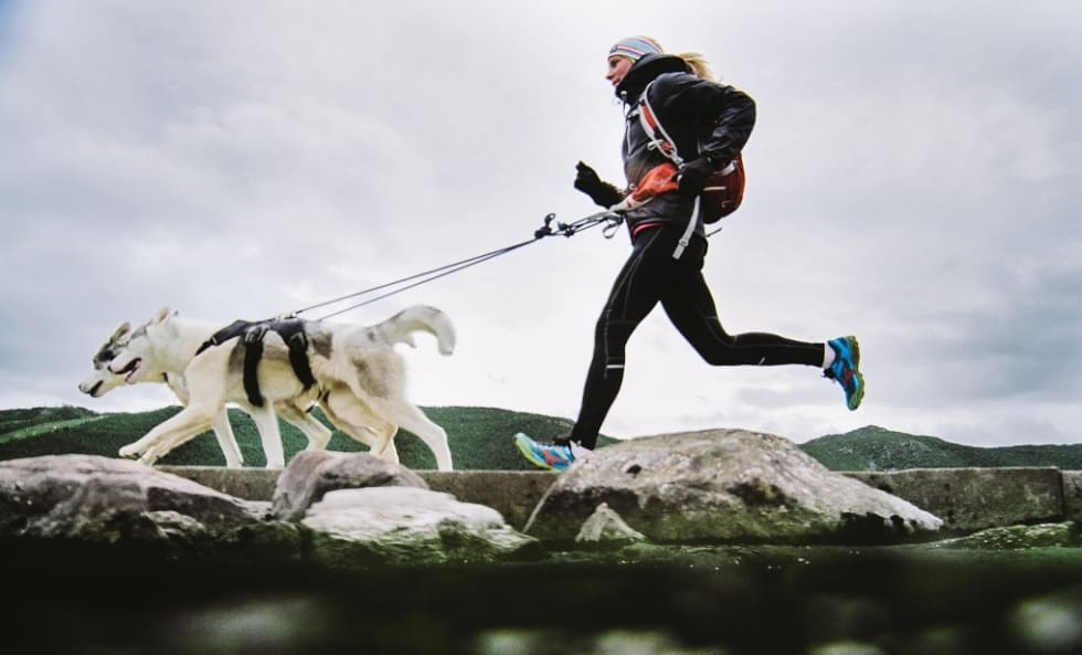 Skjermbilde 2015-06-04 kl. 11.32.19