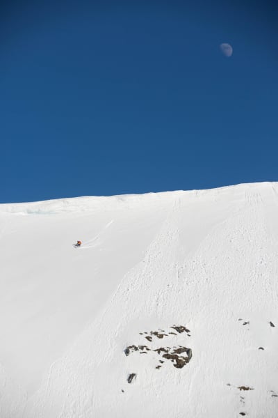 TMM_2941