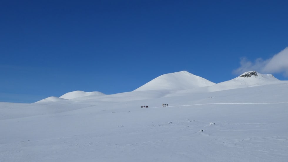 Tur til Ljosåbelgen Foto: Øystein Gården