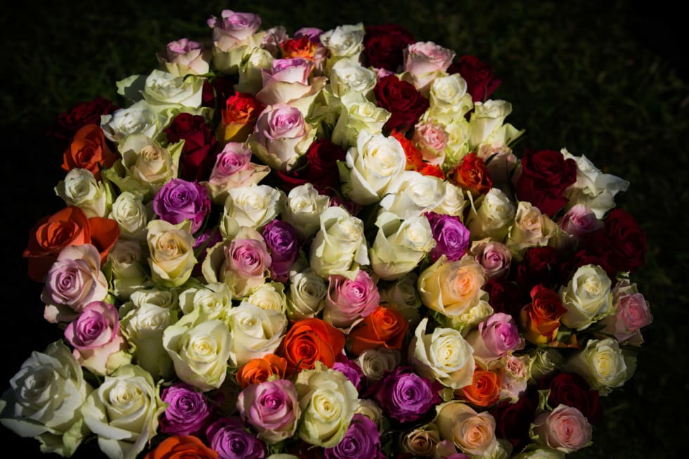 BLOMSTER: Arrangørene delte ut pengepremier og blomster til de beste. Men det var kanskje arrangørene som burde hatt disse? (foto: Snorre Veggan) skjebergrittet-2491a