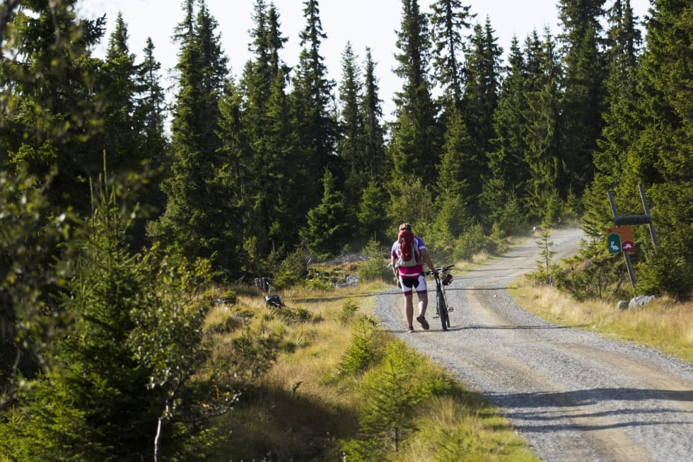 HARDT: De virkelige heltene i Birken er ikke elitesyklistene, men alle mosjonistene som stiller opp uavhengig av form og teknikk. Om han her kom helt til mål vites ikke. Foto: Snorre Veggan 9 - birken2017-9448-2a
